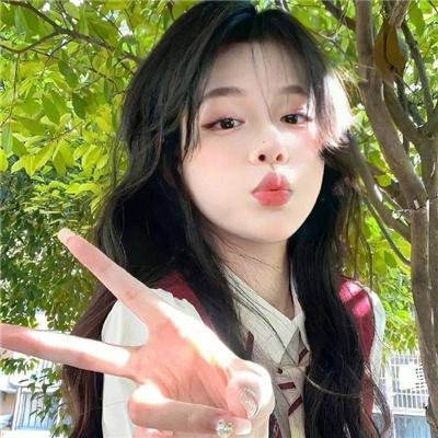 盗影谜情
